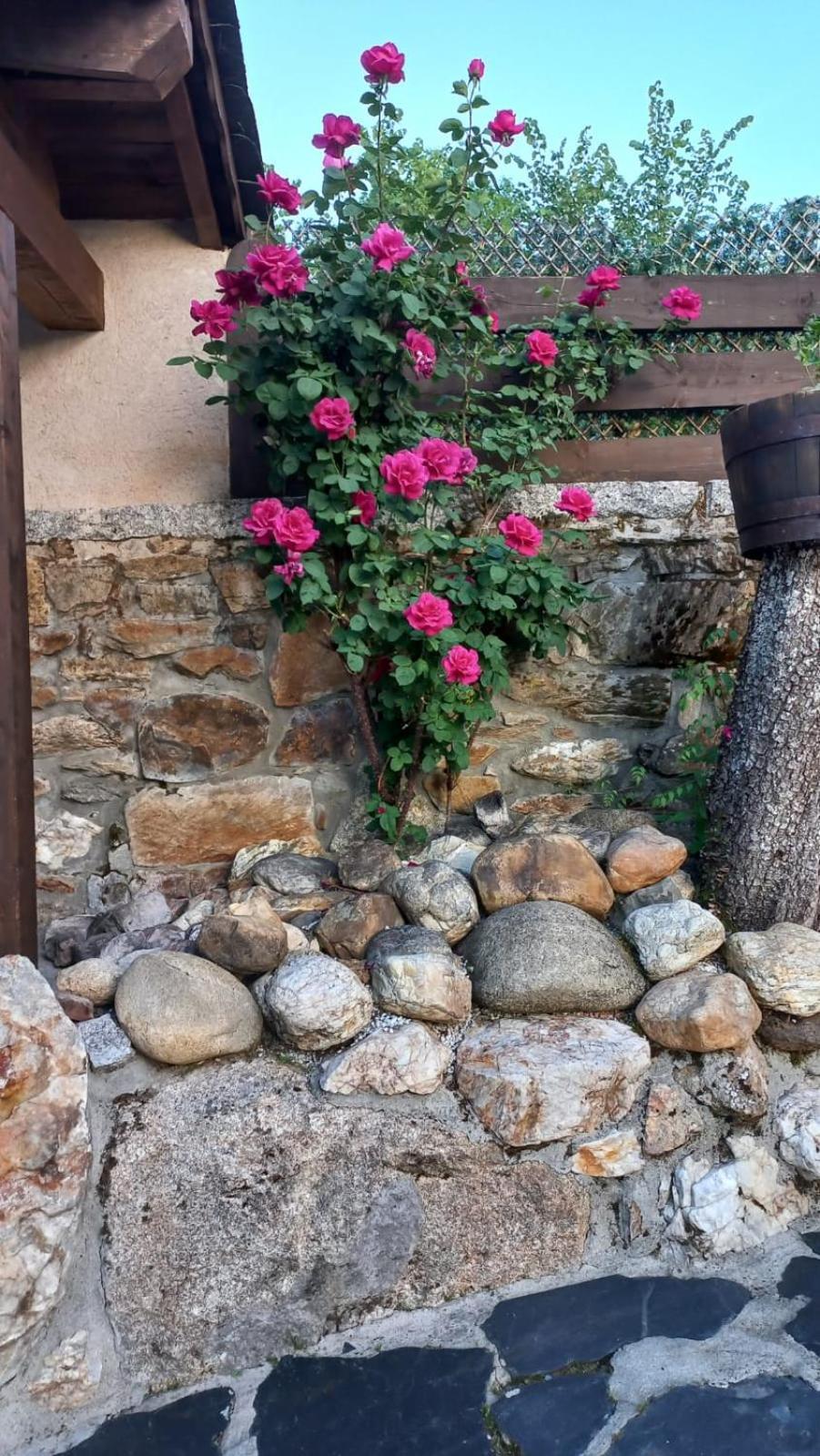 Maison d'hôtes Casa Del Cura à Rozas Extérieur photo
